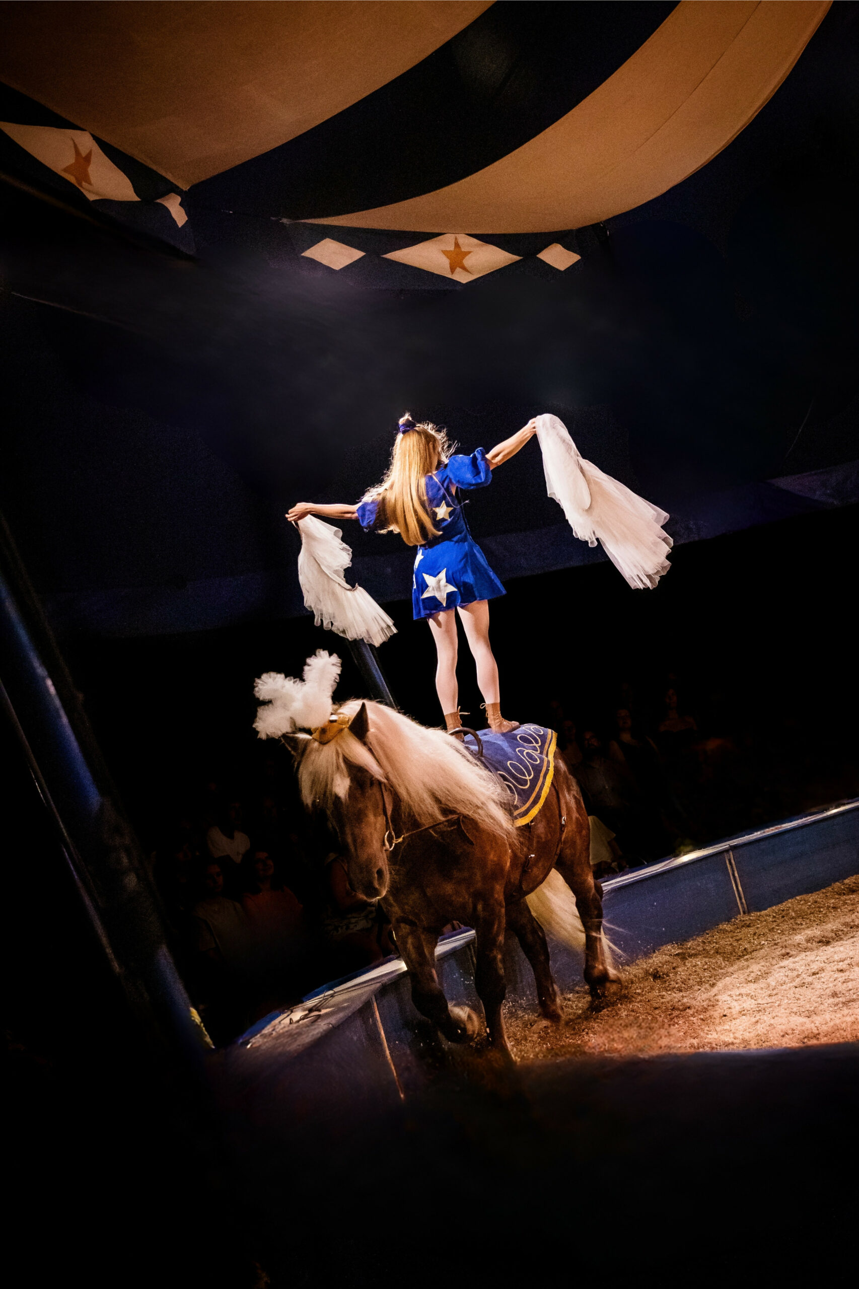 🎪DROHME hosts “D’OR ET DE SANG”