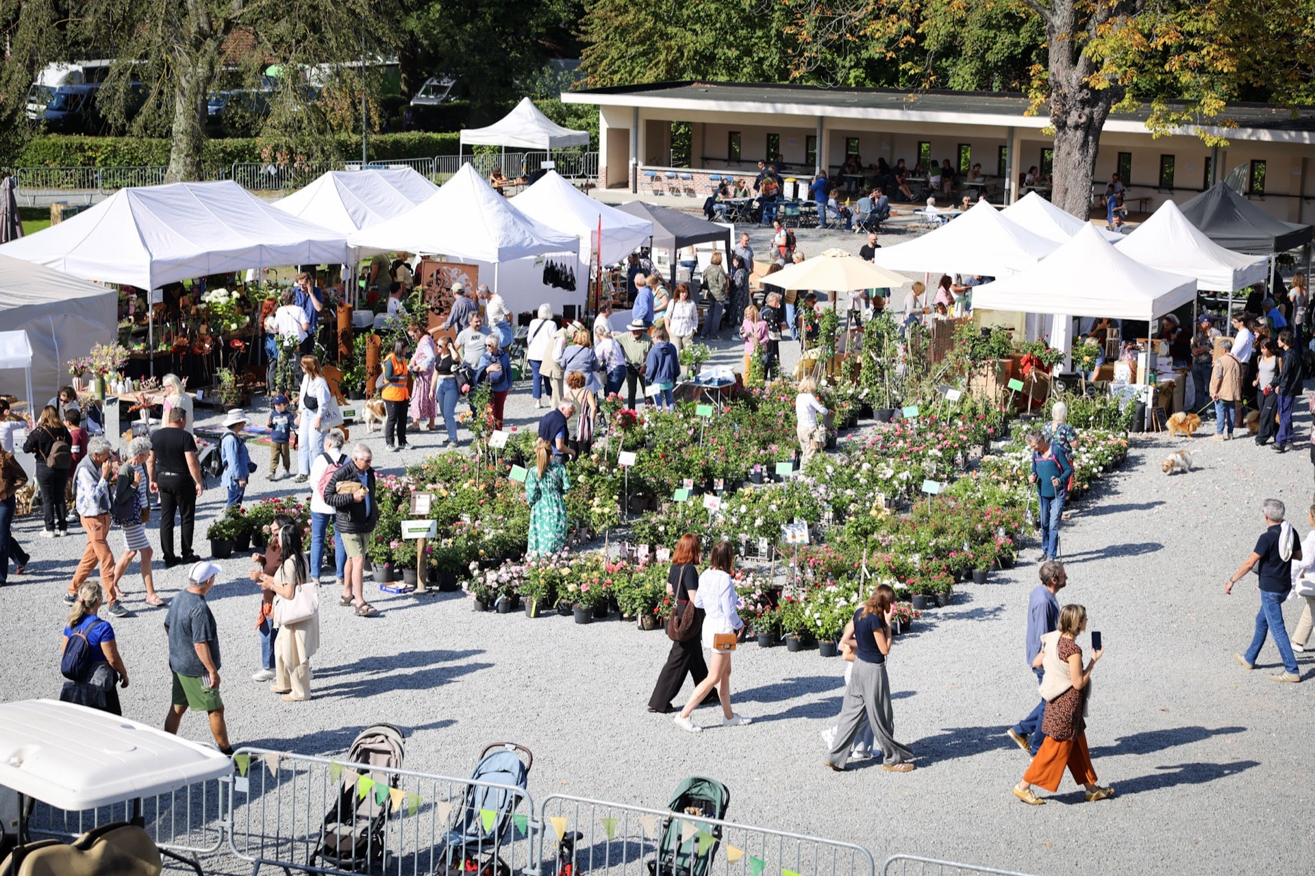 Foire aux plantes